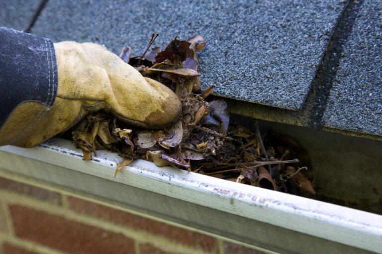 Gloved hand removing leaves from gutter