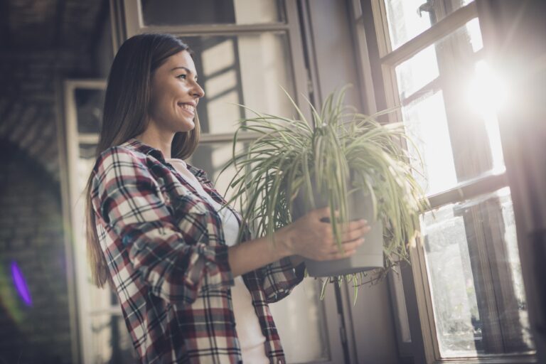Woman smiling, carrying plant toward a window as sunlight spills in