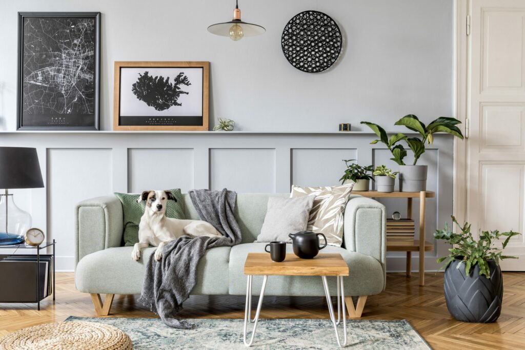 Salón moderno con plantas de interior y perro sentado en el sofá