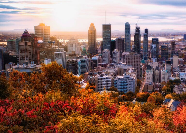 Montreal Centre under autumn leaves and golden light of fall
