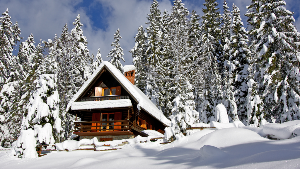 A log cabin in the forest covered in snow during the daytime