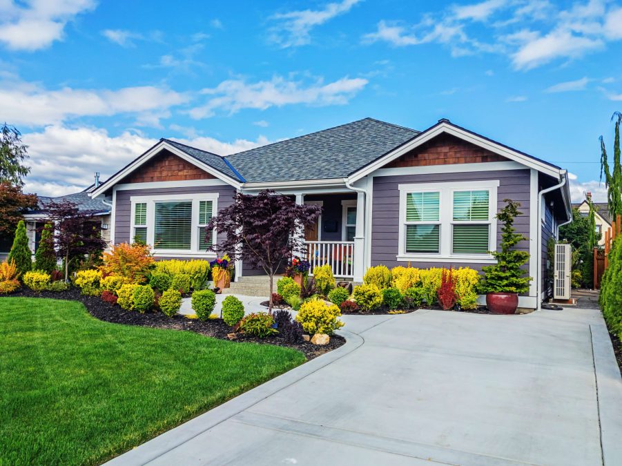 A purple single-storey detached home with landscaping during the daytime