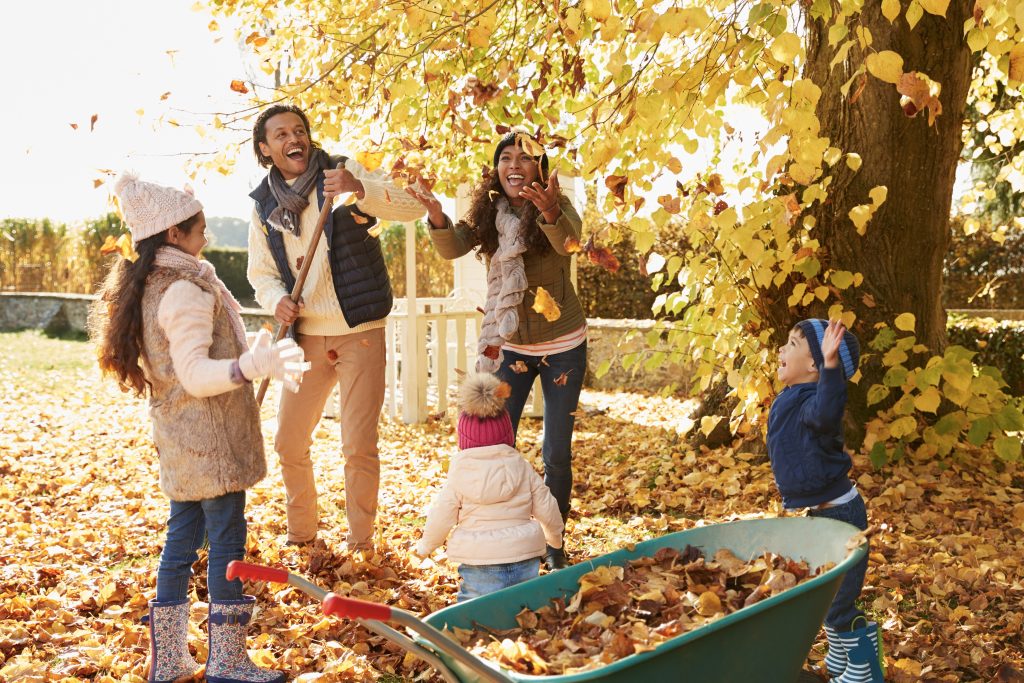 Young children and their parents gather autumn leaves in the garden