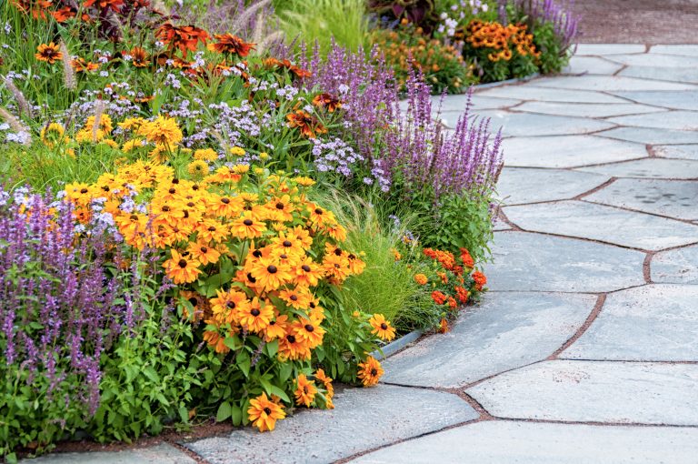 Summer flower bed with Black-eyed Susans and patio stones