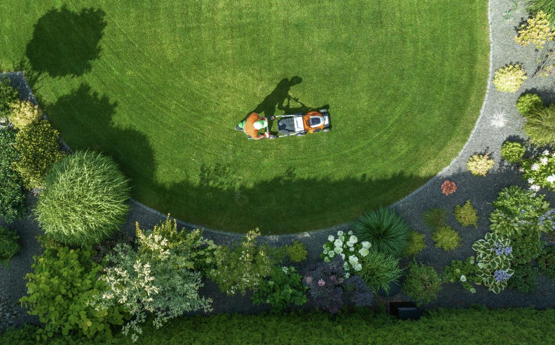 A person mows a well-maintained lawn, encircled by colorful plants and flowers in a residential yard