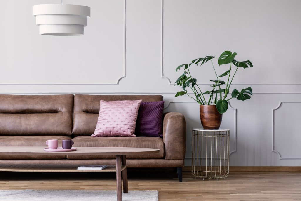 Modern living room with leather sofa and plant