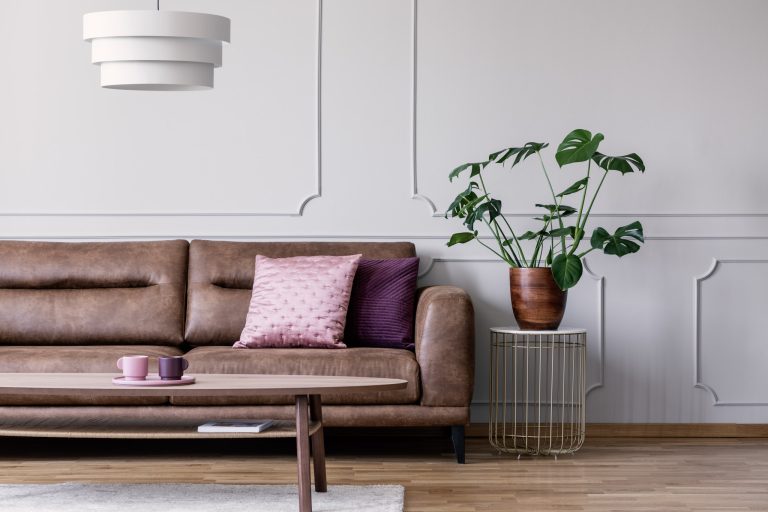 Modern living room with leather sofa and plant