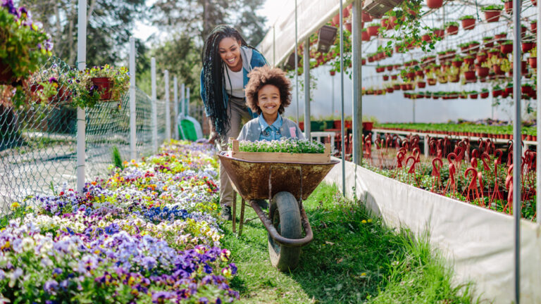 Mother and daughter having fun, mother riding her cute daughter in wheelbarrow.