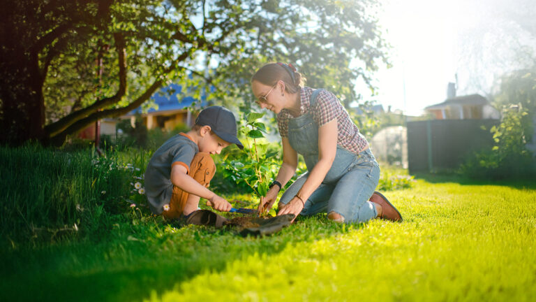 Little boy and his pregnant mother planting in springtime or summer.