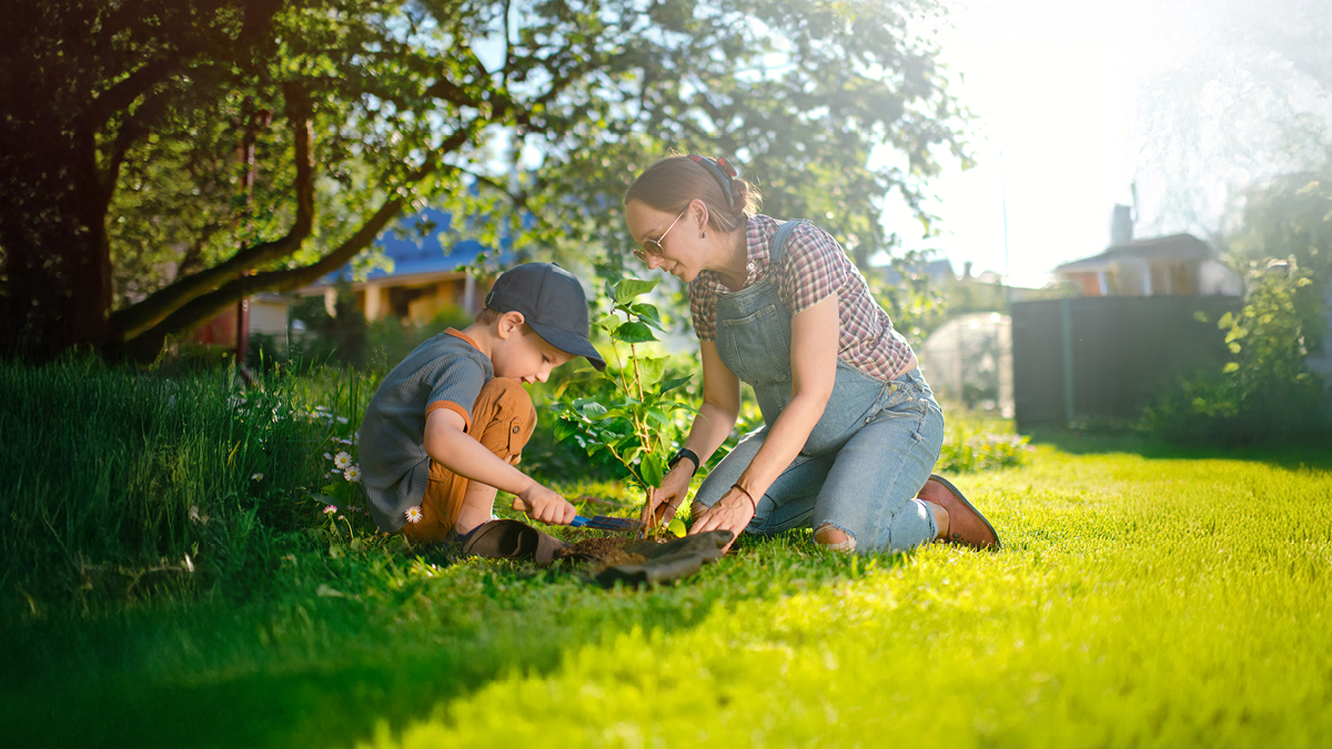Little boy and his pregnant mother planting in springtime or summer.