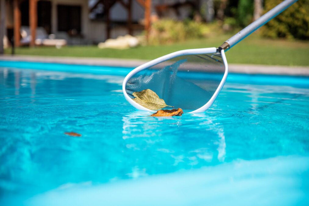 Cleaning swimming pool of fallen leaves with net