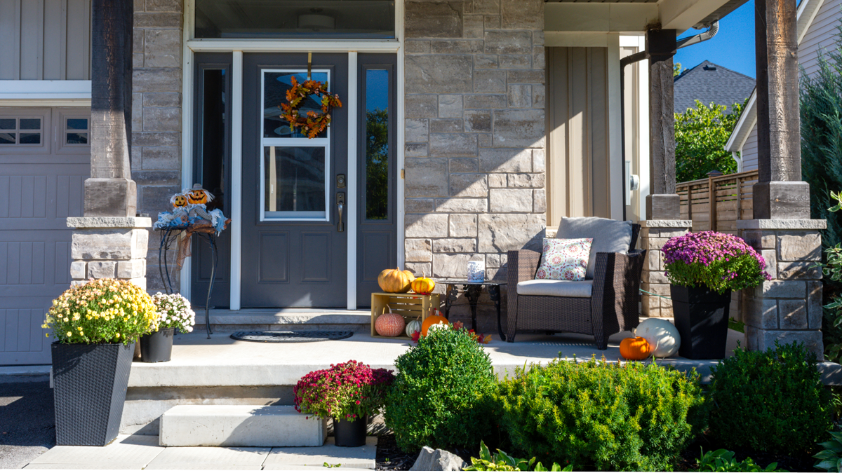 Colourful pumpkins, gourds and mums create a luxury autumn halloween and thanksgiving landscaping decor